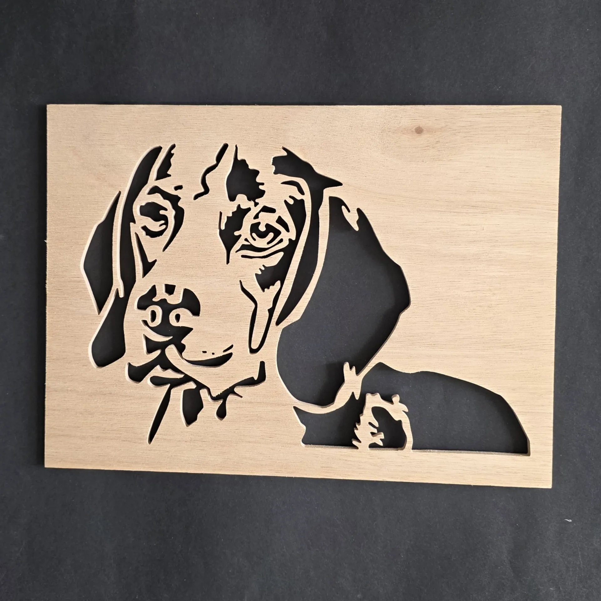 Beagle