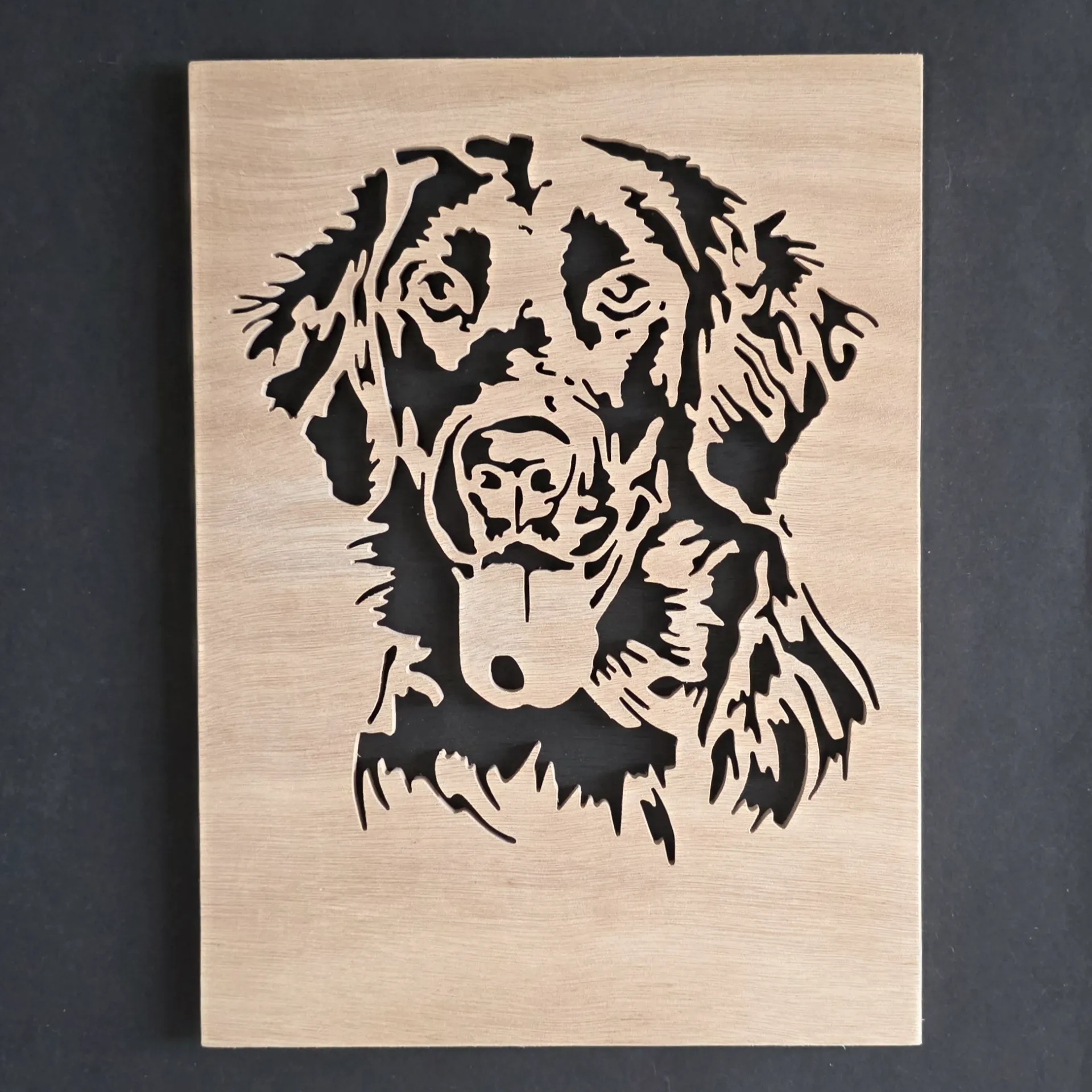 Flatcoated retriever