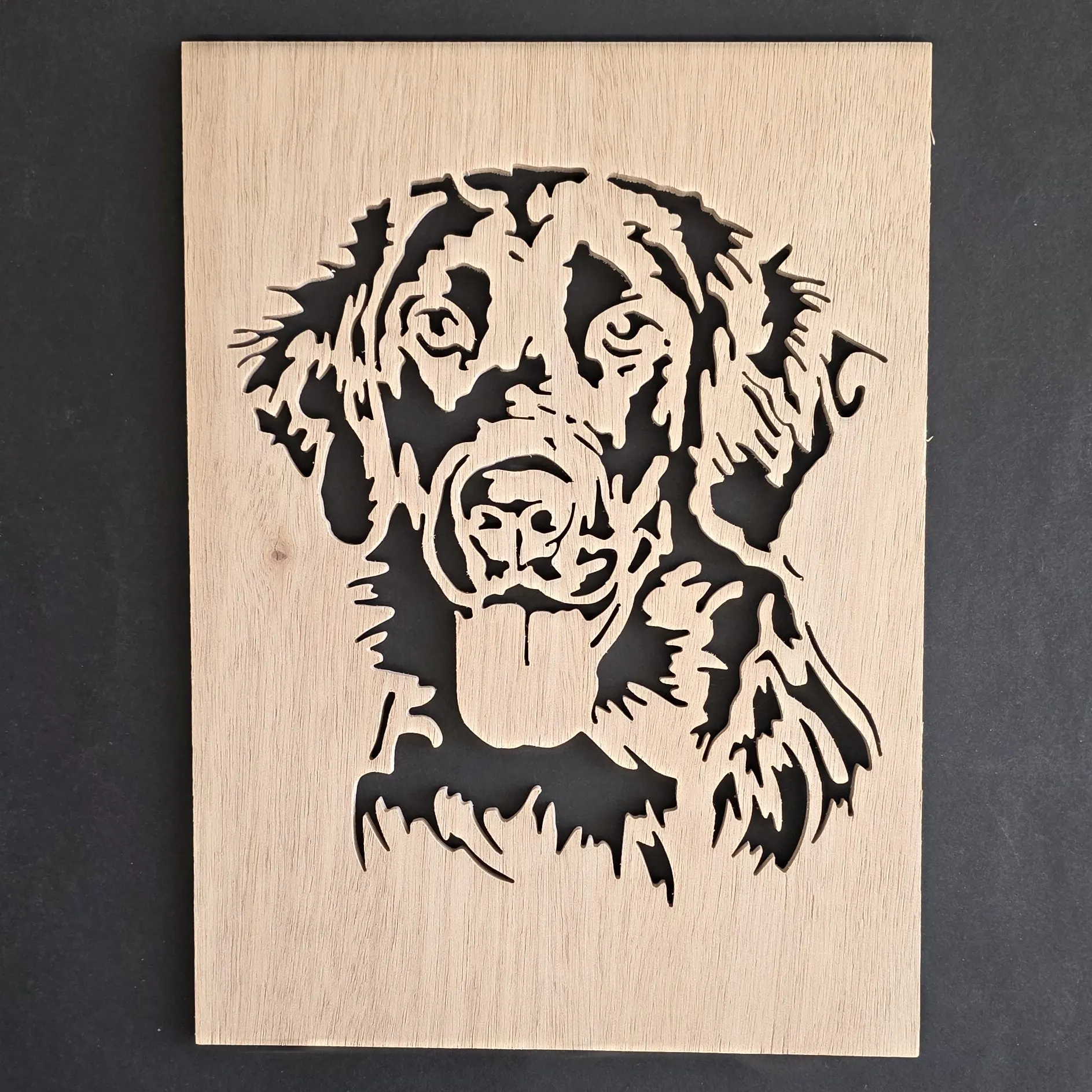 Flatcoated retriever