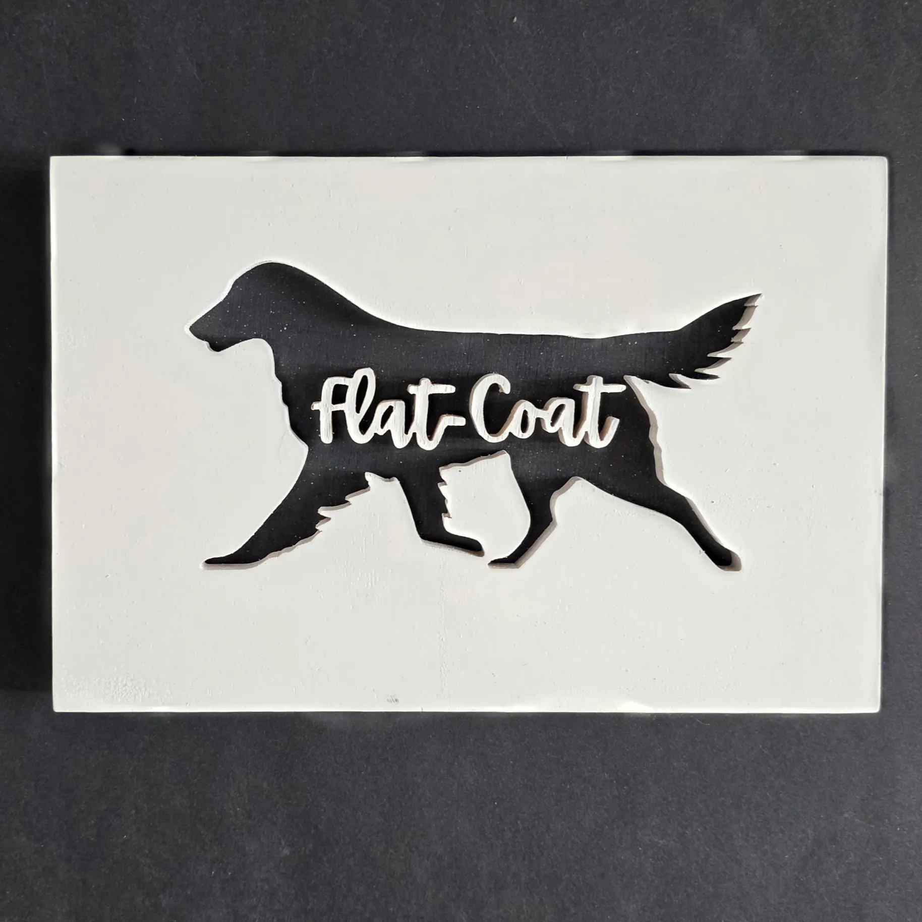 Flatcoated retriever