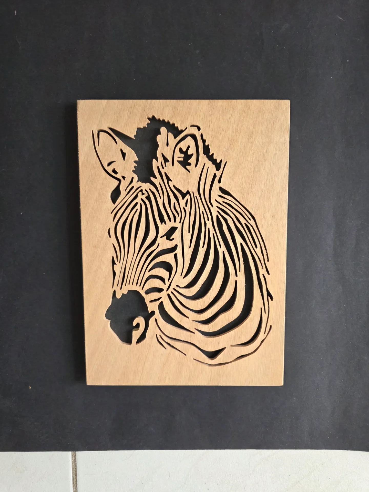 zebra